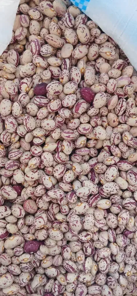 لوبیا چیتی|خوردنی و آشامیدنی|رشت, پیرسرا|دیوار