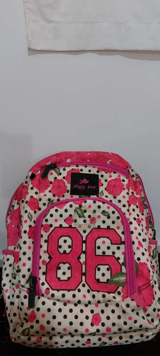 کوله پشتی مدرسه ای|کیف، کفش، کمربند|گنبد کاووس, |دیوار