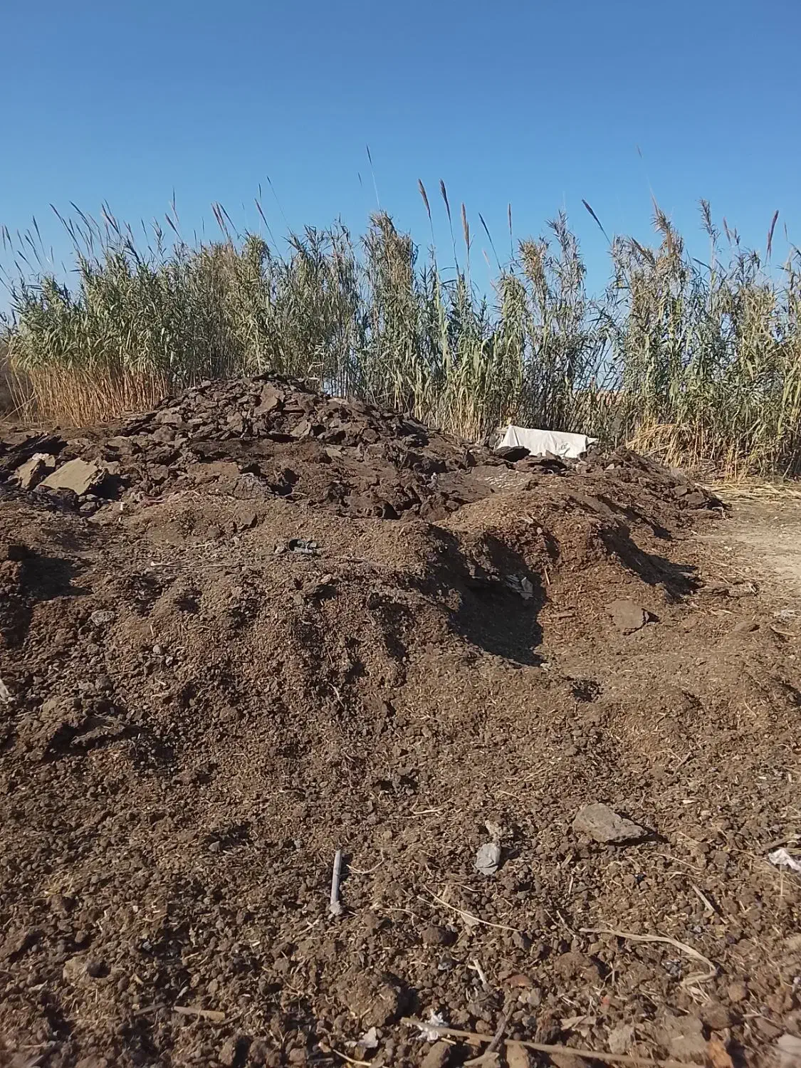 پوش گوسفند|لوازم جانبی حیوانات|آق قلا, |دیوار