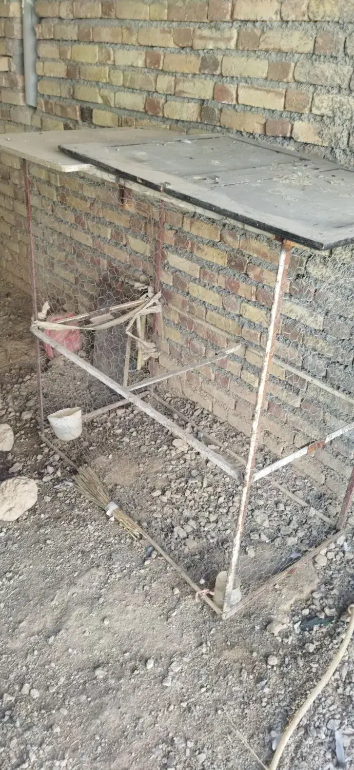 قفس مرغ و خروس|حیوانات مزرعه|صحنه, |دیوار