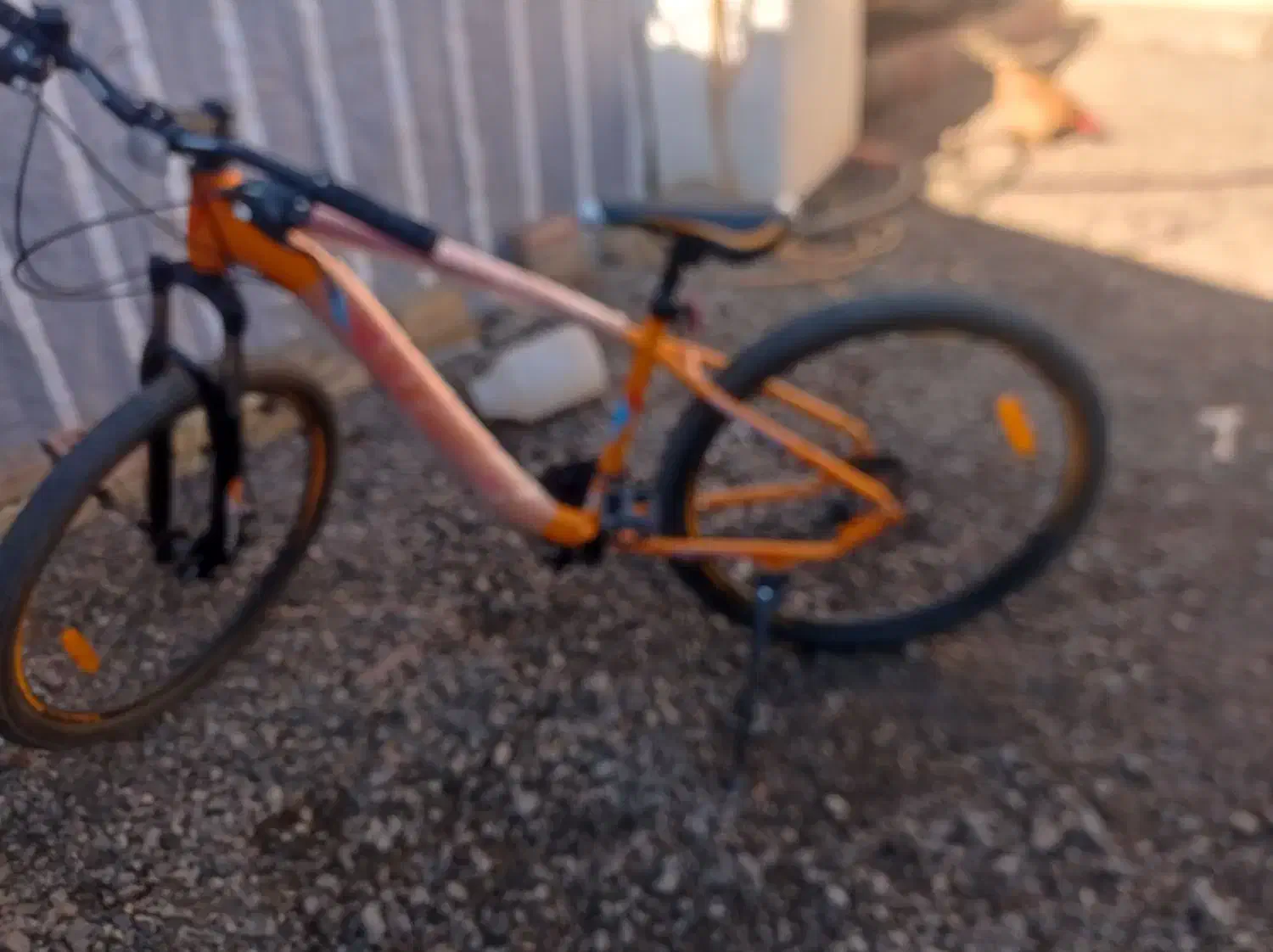 محاوضه با بزغاله یا گوسفند دارم|دوچرخه، اسکیت، اسکوتر|فاضل آباد, |دیوار