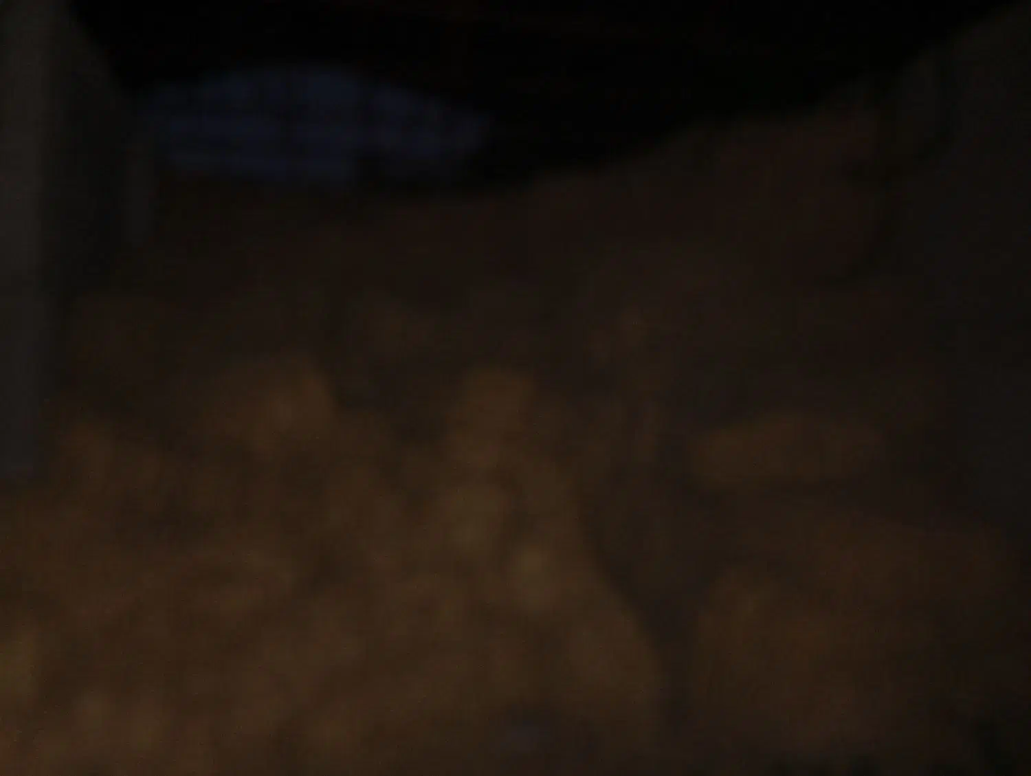 کاه برنج|لوازم جانبی حیوانات|خرم‌آباد (تنکابن), |دیوار