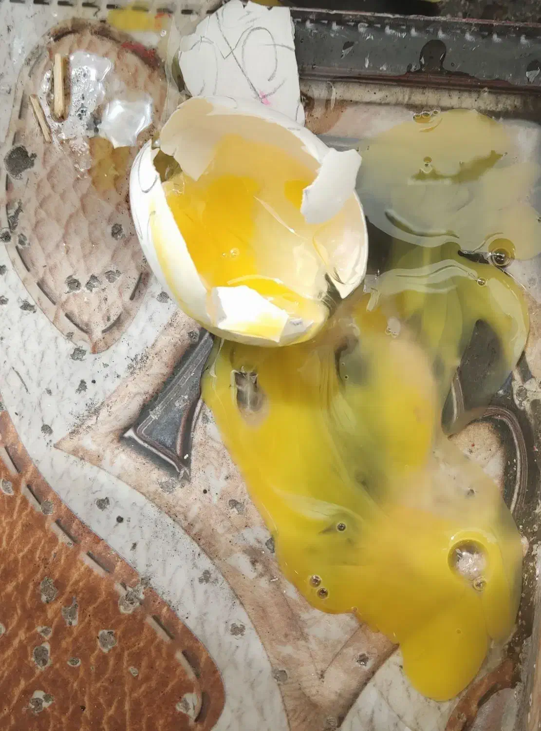 سرکتاب  رفع چشم ونظر با شکستن تخم مرغ|خدمات پذیرایی، مراسم|یزد, |دیوار