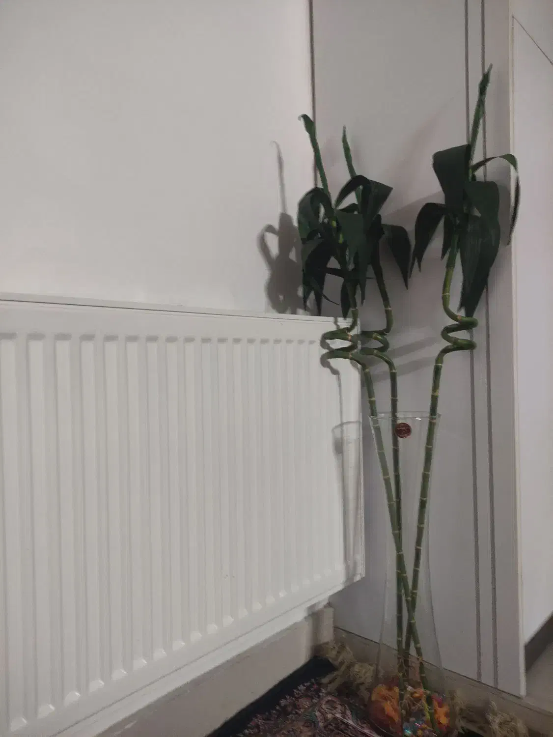 گل بامبو|گل مصنوعی|بیرجند, |دیوار