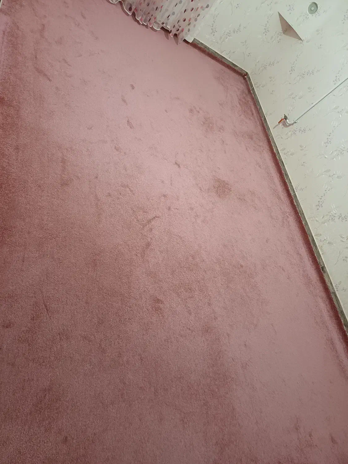 فروش دو تیکه موکت پالاز پرز بلند|موکت|قروه, |دیوار