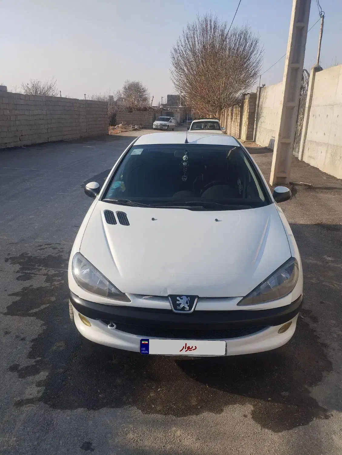 206 آس دی وی ۸|خودرو کلاسیک|میامی, |دیوار