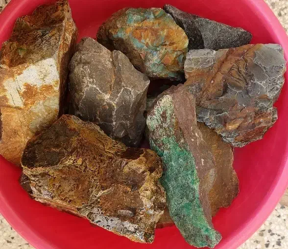 اکواریوم شرکتی|ماهی|تربت‌حیدریه, حسنی بالا|دیوار