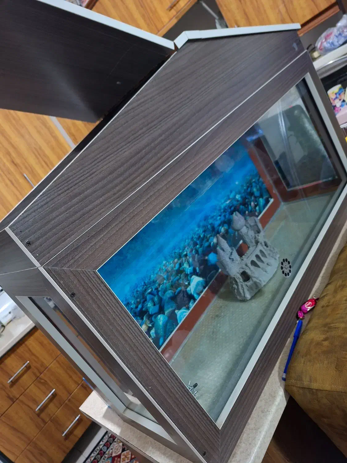 آکواریوم|ماهی|کرمان, |دیوار