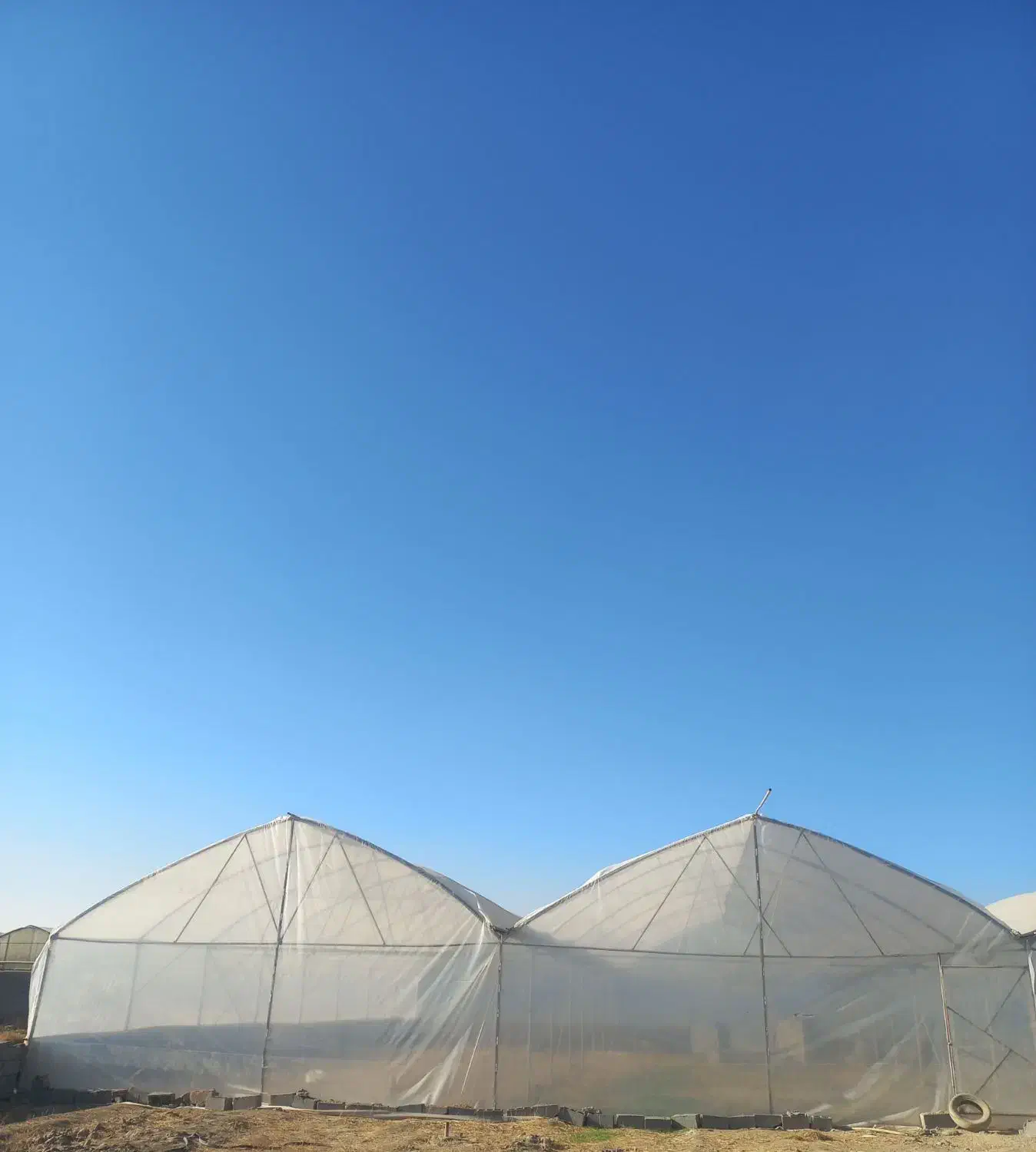 گلخانه|اجارهٔ دفتر صنعتی، کشاورزی، تجاری|مشهد, اسماعیل آباد|دیوار