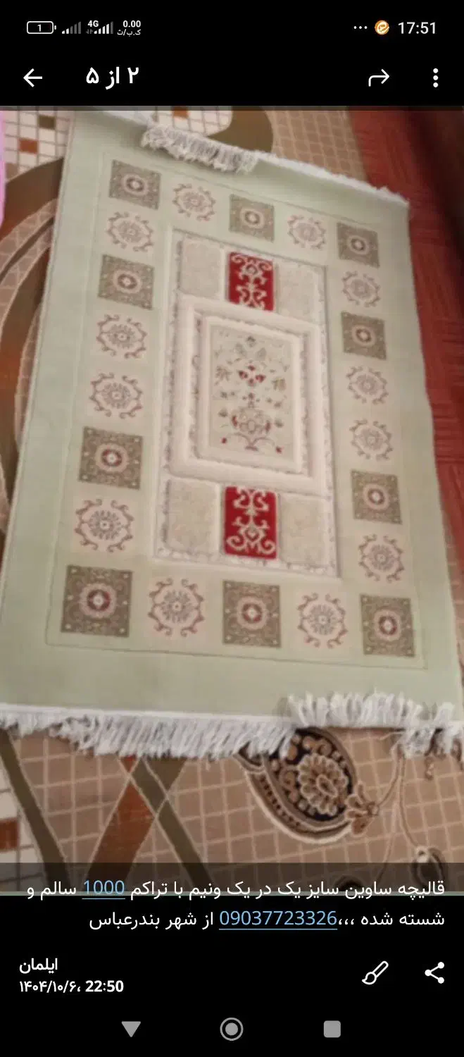 قالیچه ساوین|فرش|بندرعباس, |دیوار