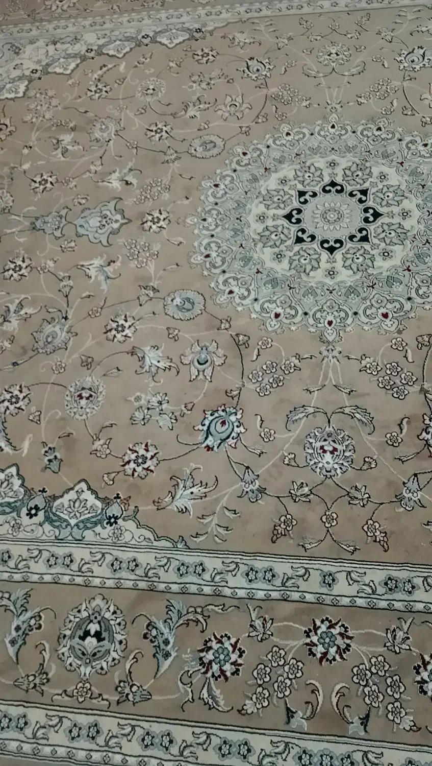 فرش رنگ موکا|فرش|گلبهار, شهر جدید گلبهار|دیوار