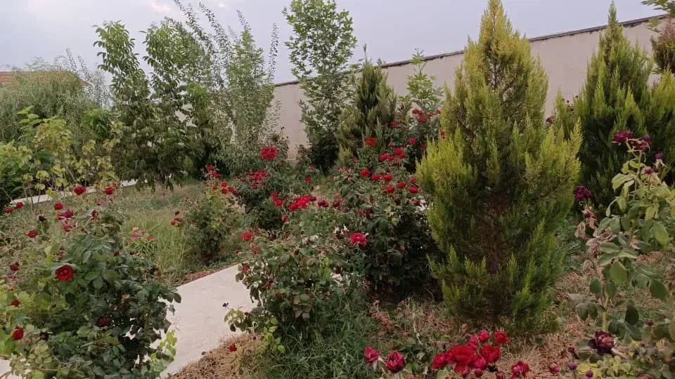 اجاره باغ ویلا،استخر آبگرم در خانه زنیان|اجارهٔ کوتاهمدت ویلا و باغ|شیراز, شهرک والفجر|دیوار