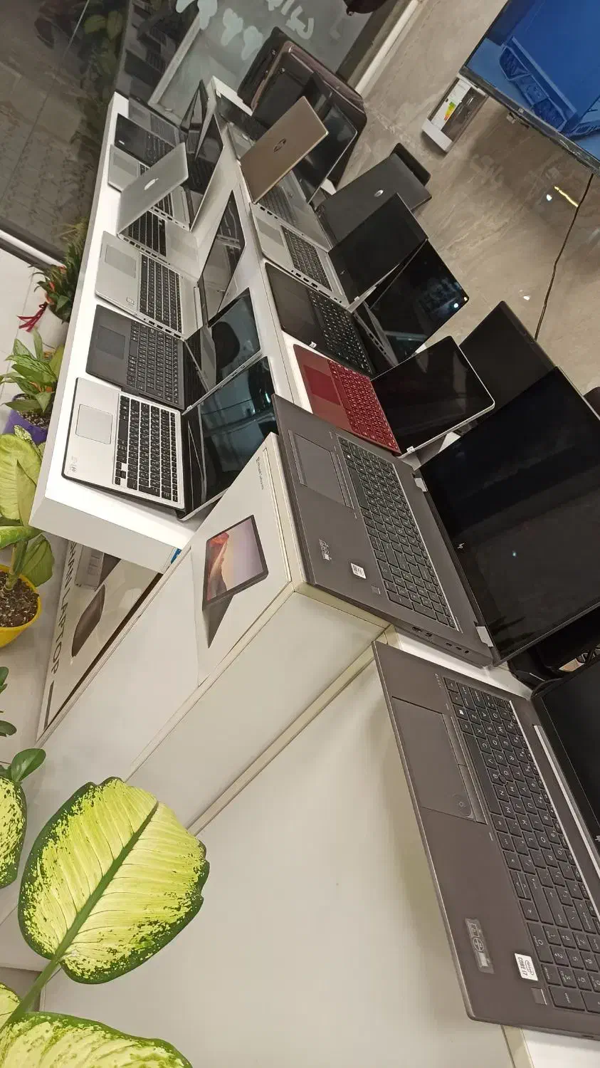 نمایندگی اصلی/Hp/Asus/Lenovo قسطی 12ماهه بدون سود|رایانه همراه|گرگان, |دیوار