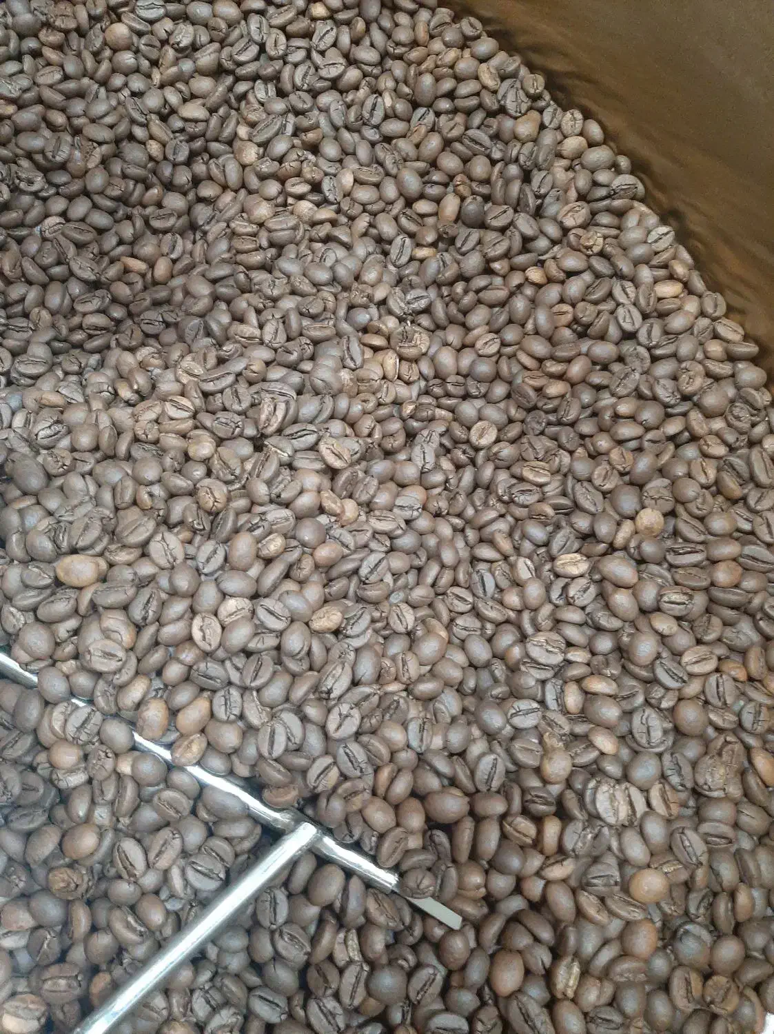 دانه قهوه عربیکا و ربوستا|کافیشاپ و رستوران|اراک, |دیوار