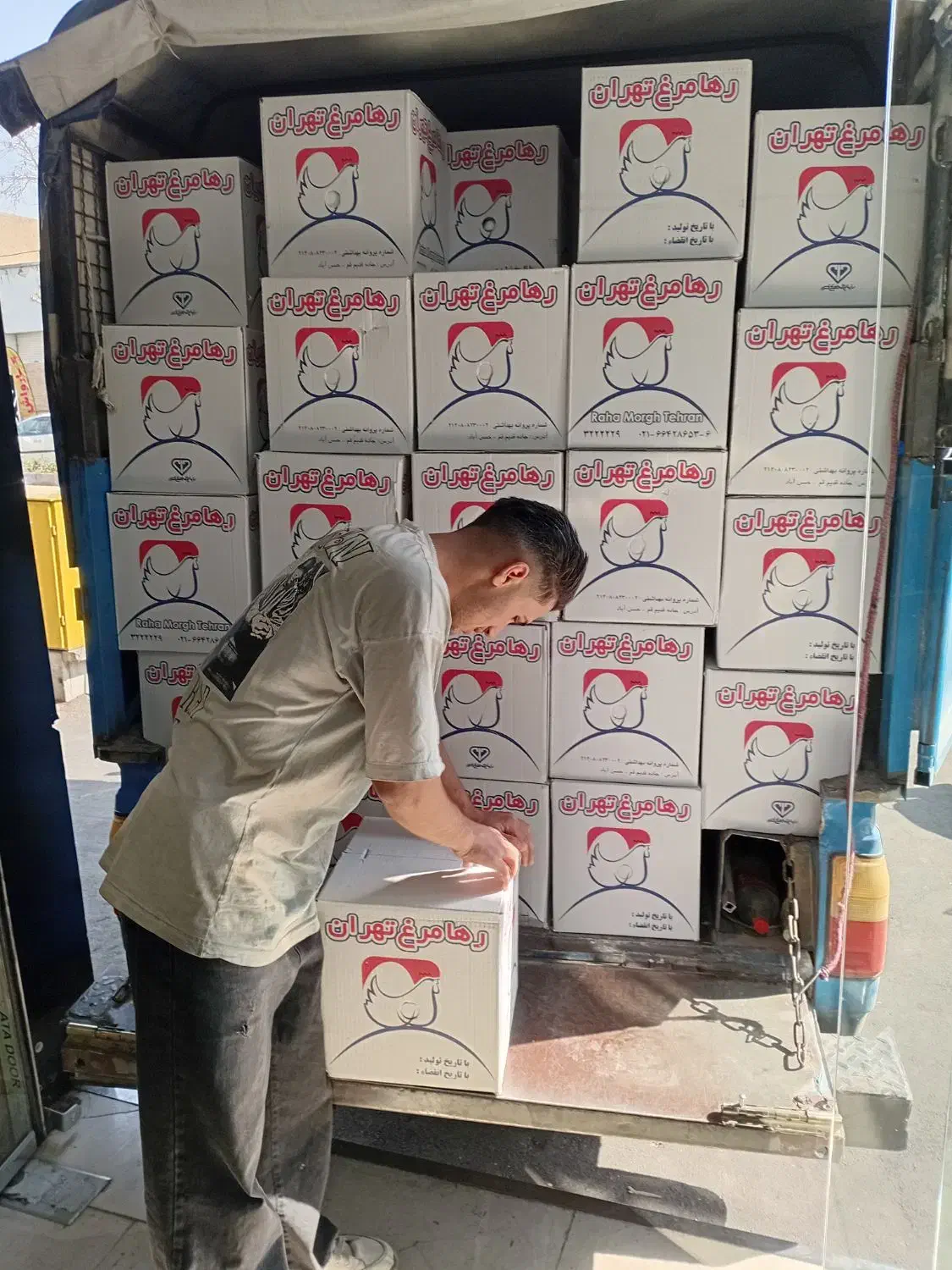 استخدام موزع(پخش گرم تخم مرغ)|استخدام بازاریابی و فروش|تهران, فدک|دیوار