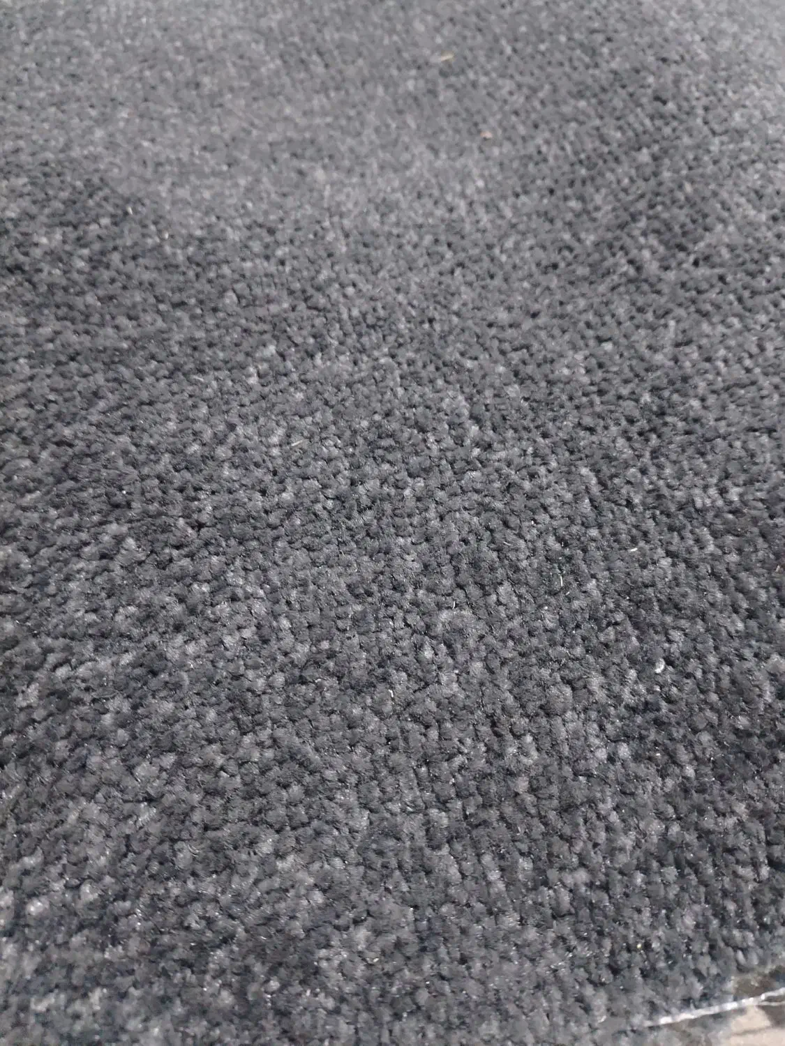 موکت پالاز|موکت|احمدآبادمستوفی, |دیوار