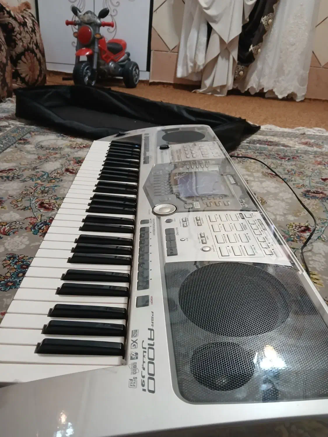 ارگ|پیانو، کیبورد، آکاردئون|میناب, |دیوار