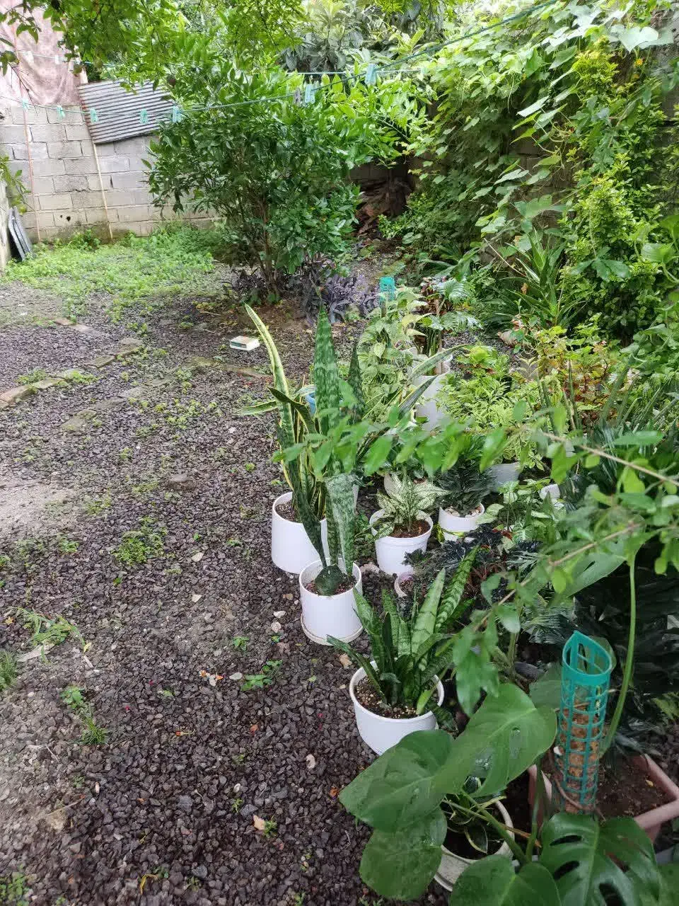 آپارتمان 130 متری در 100متری میدان شهدا کوچه نصر|فروش آپارتمان|املش, |دیوار