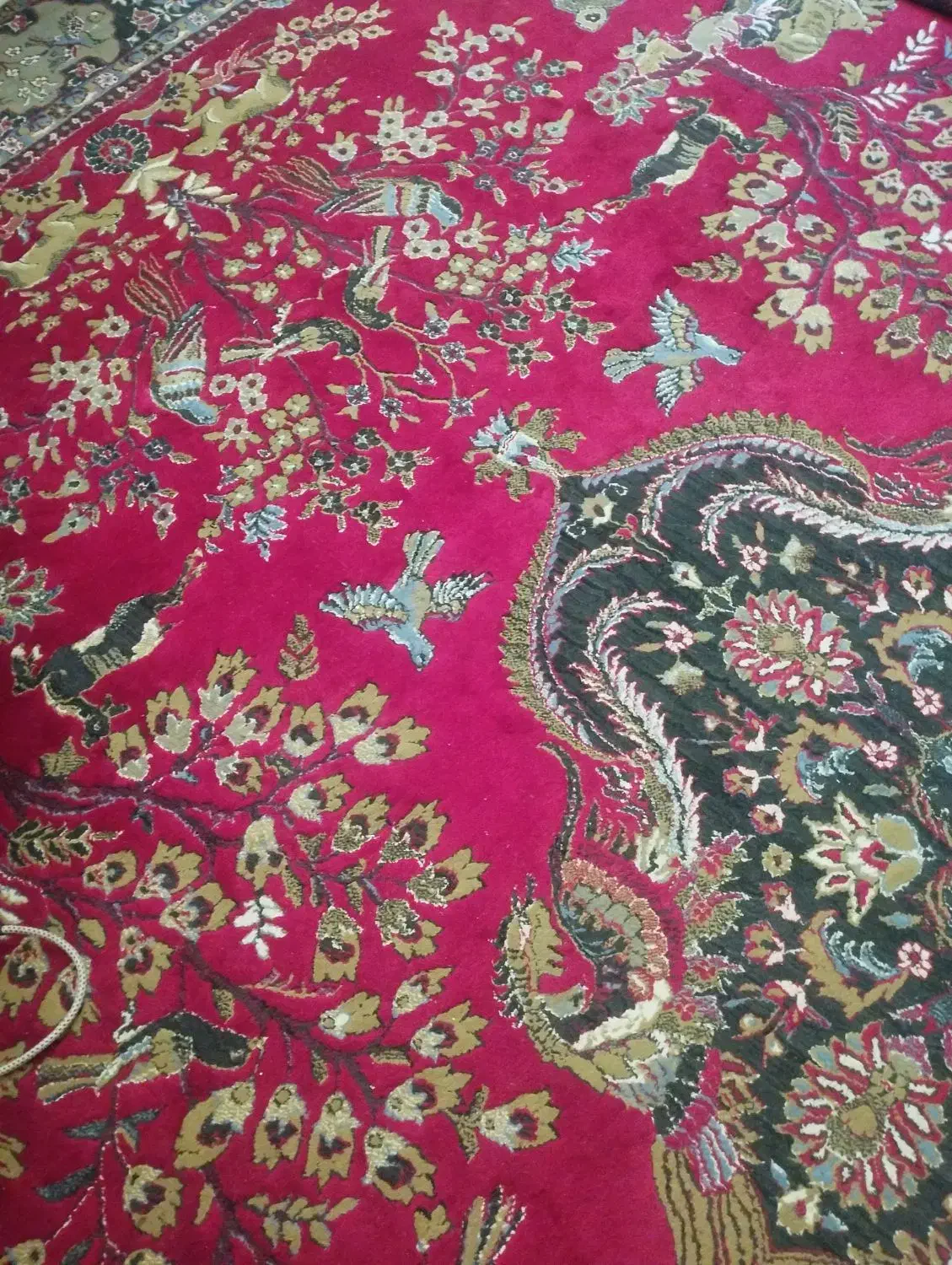 سه تخته فرش دوازده متری|فرش|زاهدان, |دیوار