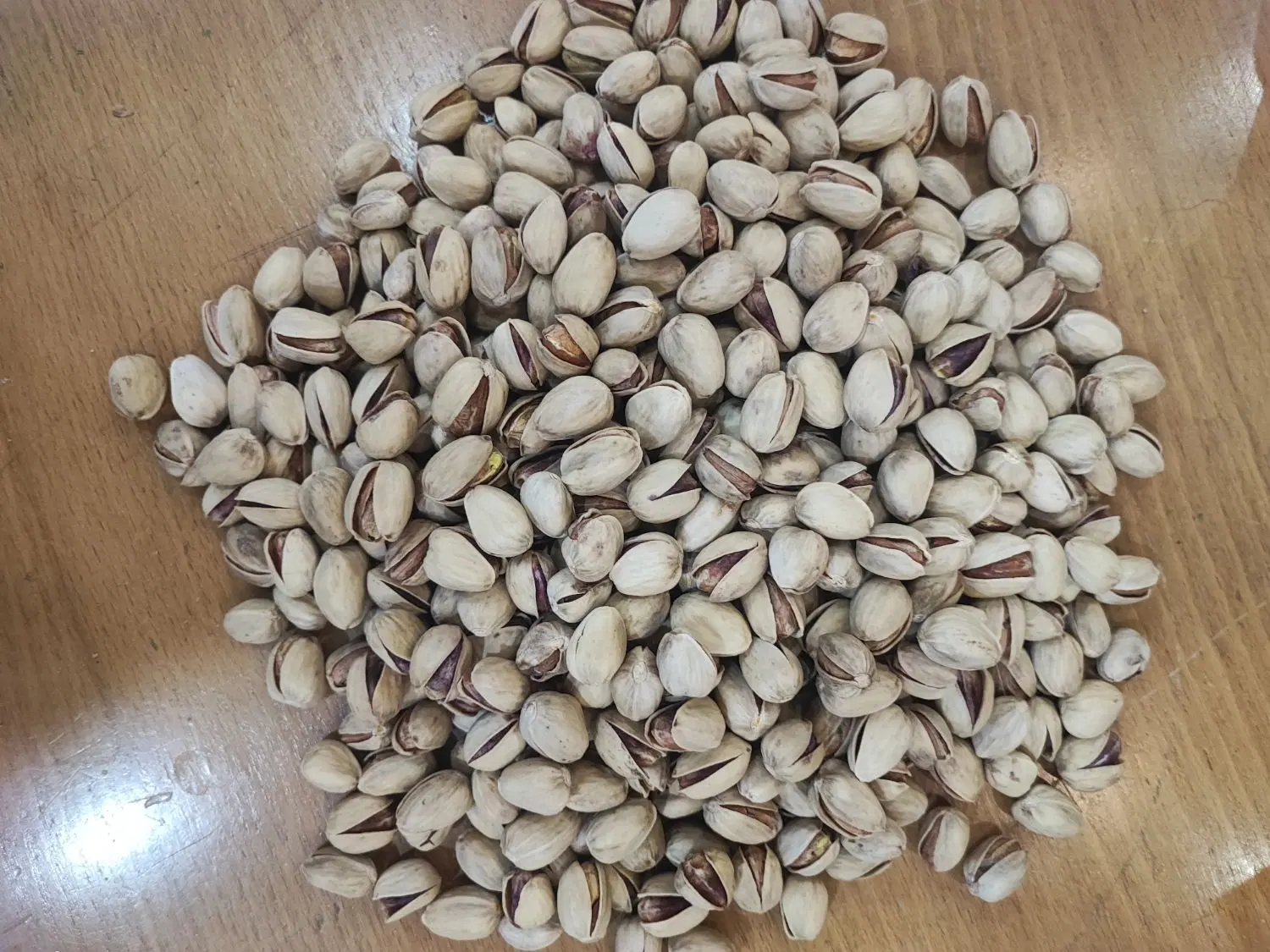 پسته|عمده‌فروشی|رفسنجان, |دیوار
