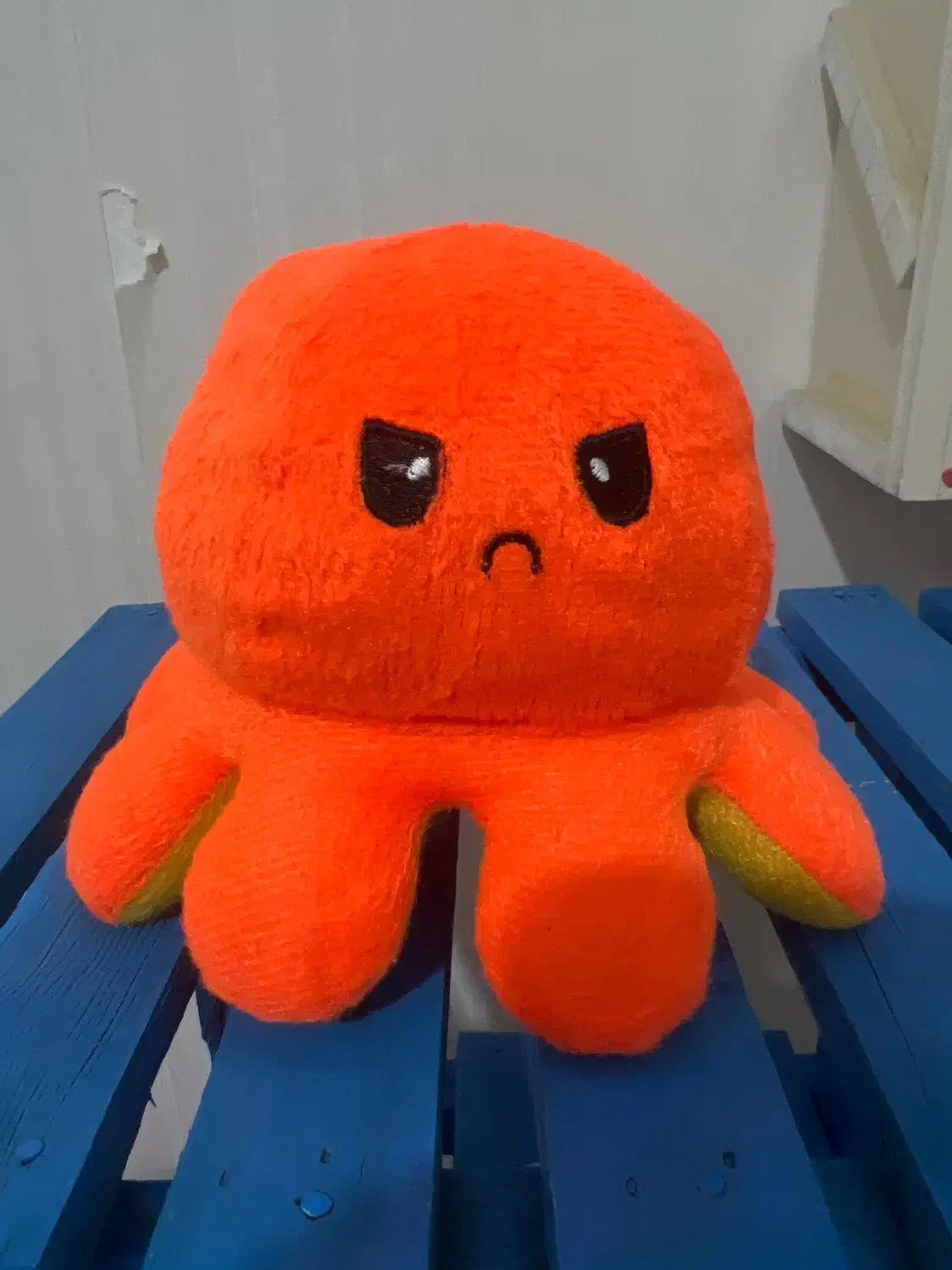 عروسک|اسباببازی|تبریز, |دیوار