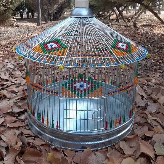 سهره خاکی مست خون دستی|پرنده|مشهد, شهرک مهر آباد|دیوار