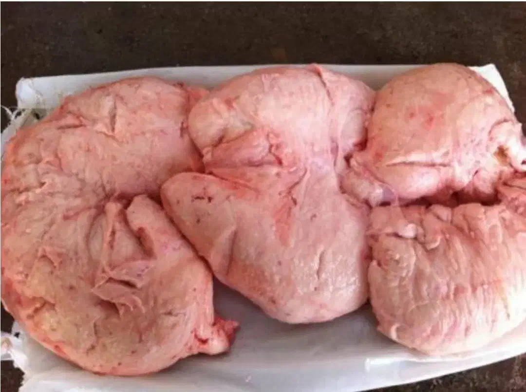 دنبه بره سفید|حراج|ساوه, |دیوار