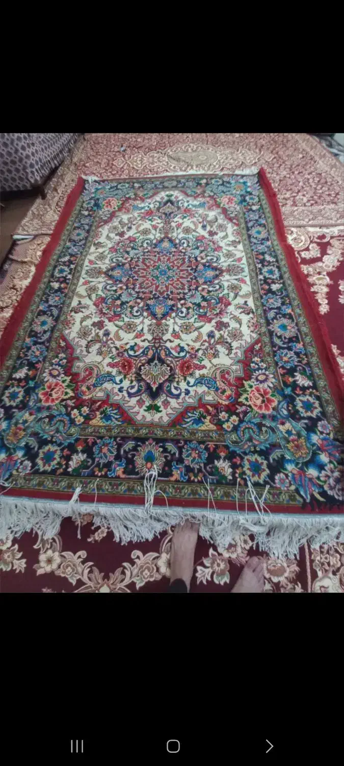 فرش ۶متری سالاری|فرش|تبریز, |دیوار