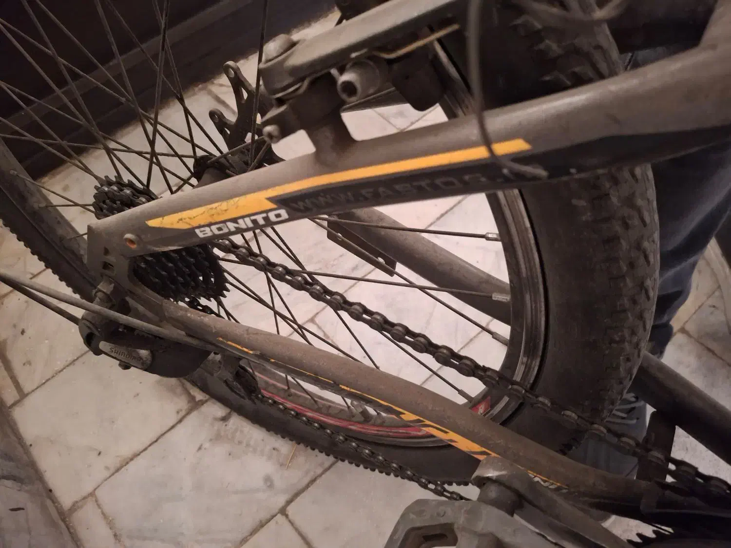 دوچرخه 24|دوچرخه، اسکیت، اسکوتر|تهران, ائمه اطهار|دیوار