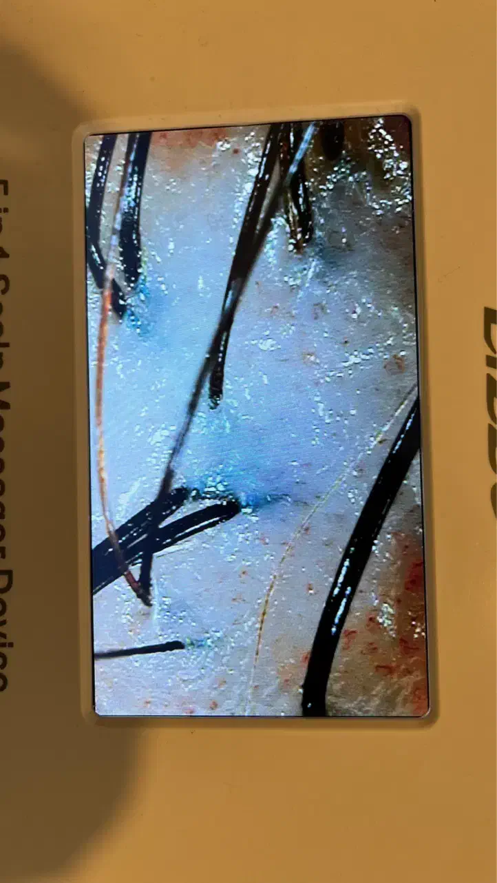 آموزش جامع اسکراب اسکالپ|خدمات آموزشی|تهران, تهرانپارس جنوبی|دیوار