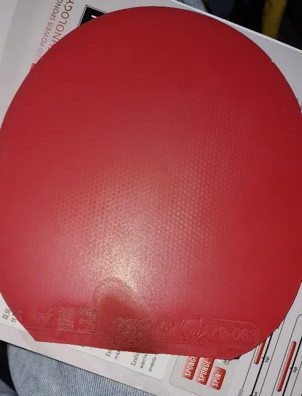 رویه راکت ژیوم و تینرژی|تجهیزات ورزشی|فولادشهر, B4|دیوار