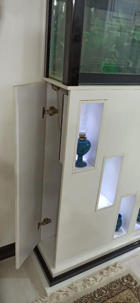 آکواریوم دکوری|ماهی|قم, بنیاد|دیوار