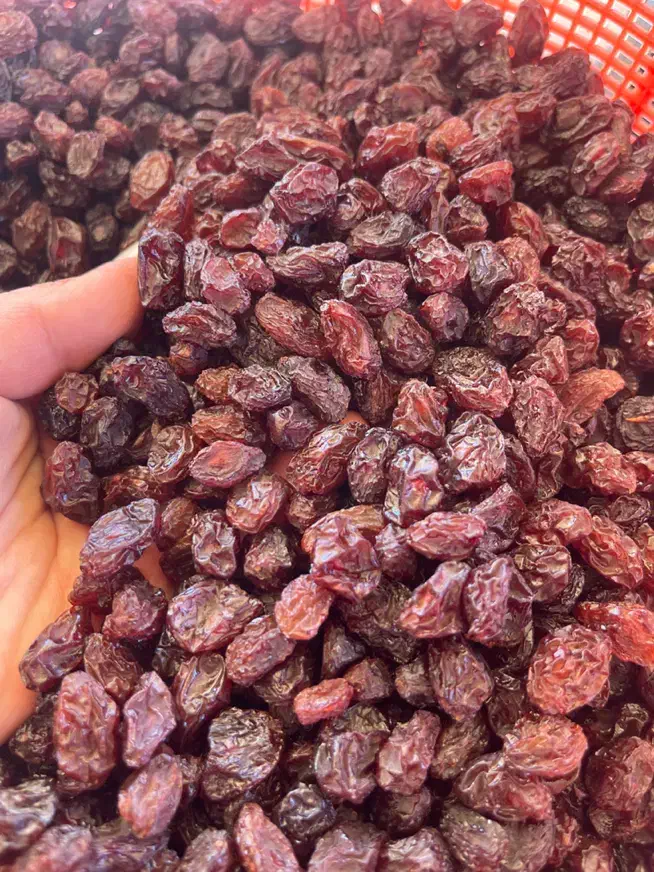 مویز بدون هسته مخصوص خوردن|خوردنی و آشامیدنی|شیراز, شهرک مدرس|دیوار