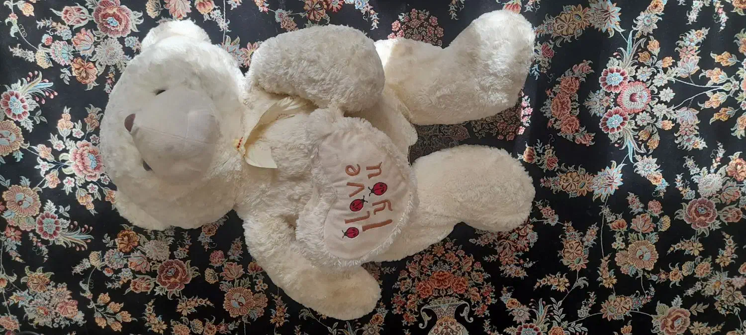 خرس پشمی|اسباببازی|نهاوند, |دیوار