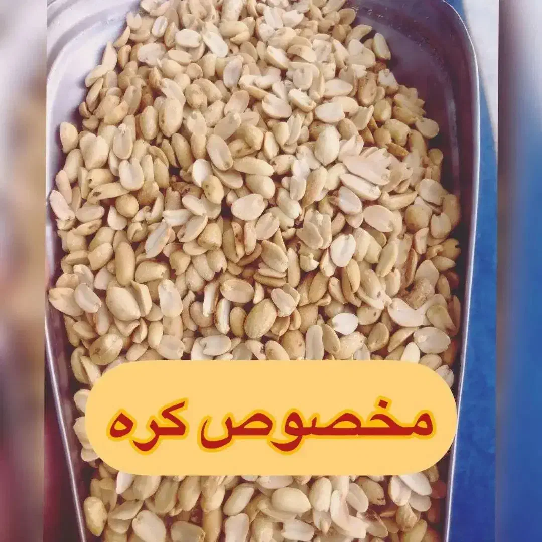 بادام زمینی کره گیری|عمدهفروشی|شیراز, پایانه مسافربری سعدی|دیوار