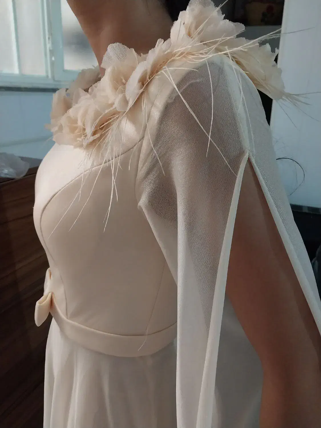 لباس مجلسی|لباس|ساری, |دیوار