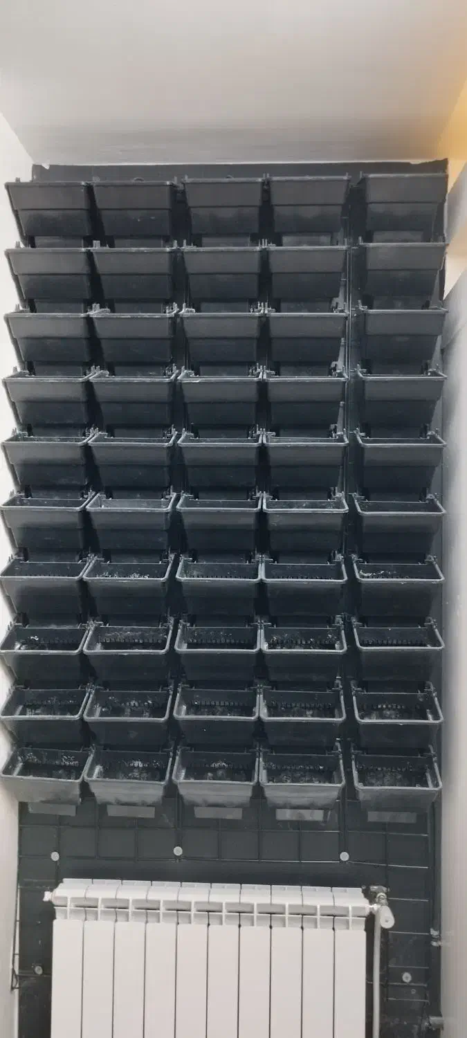 گرین وال|گل و گیاه طبیعی|اصفهان, هزارجریب|دیوار