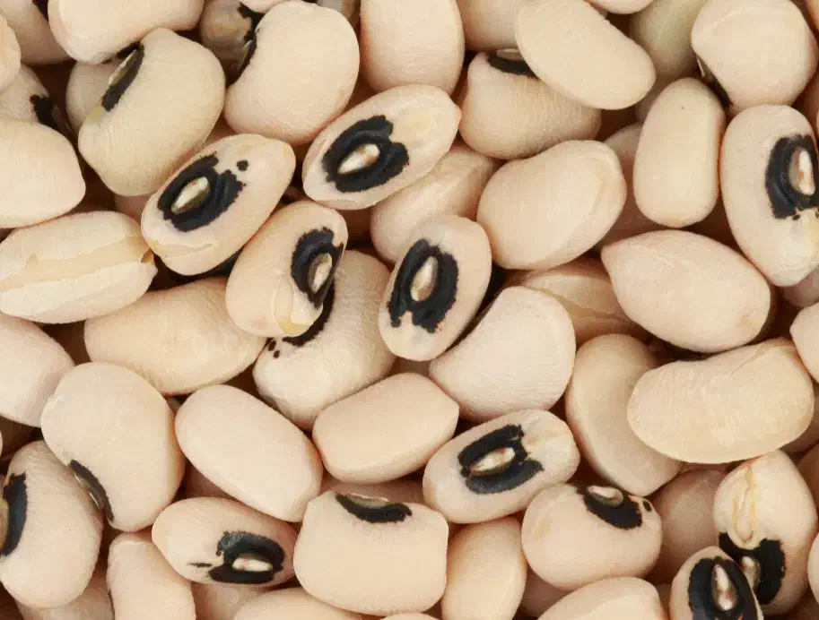 لوبیا چشم بلبلی|خوردنی و آشامیدنی|اهواز, کمپلو شمالی|دیوار