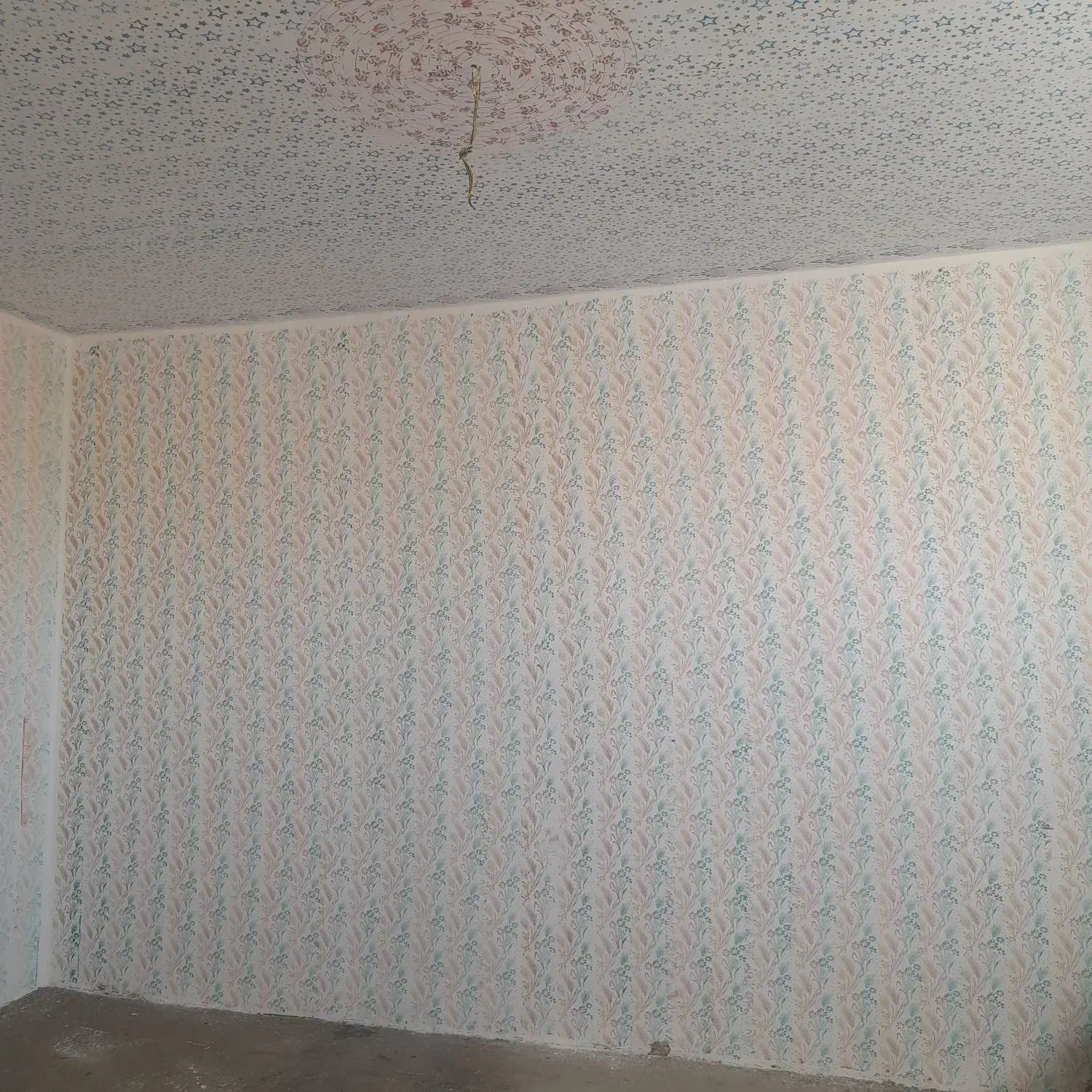 رنگ به جای کاغذدیواری قابل شستشو|خدمات پیشه و مهارت|اهر, |دیوار