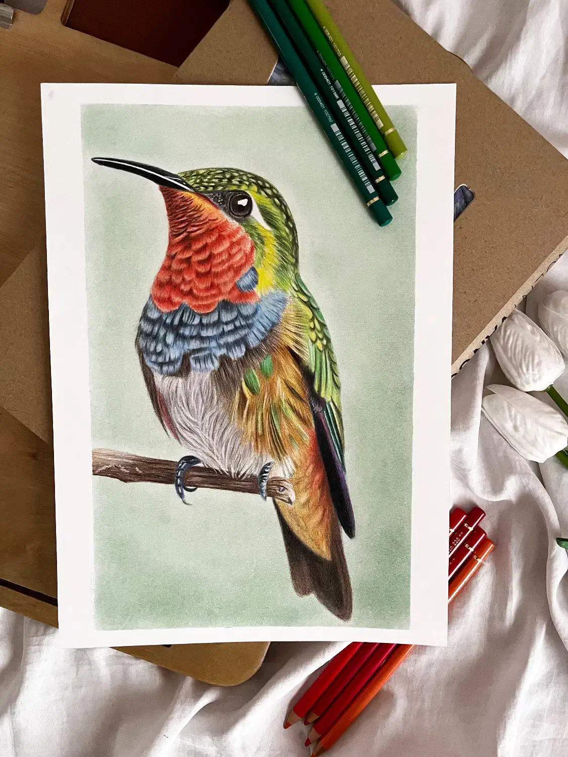 آموزش مدادرنگی|خدمات آموزشی|رشت, پستک|دیوار