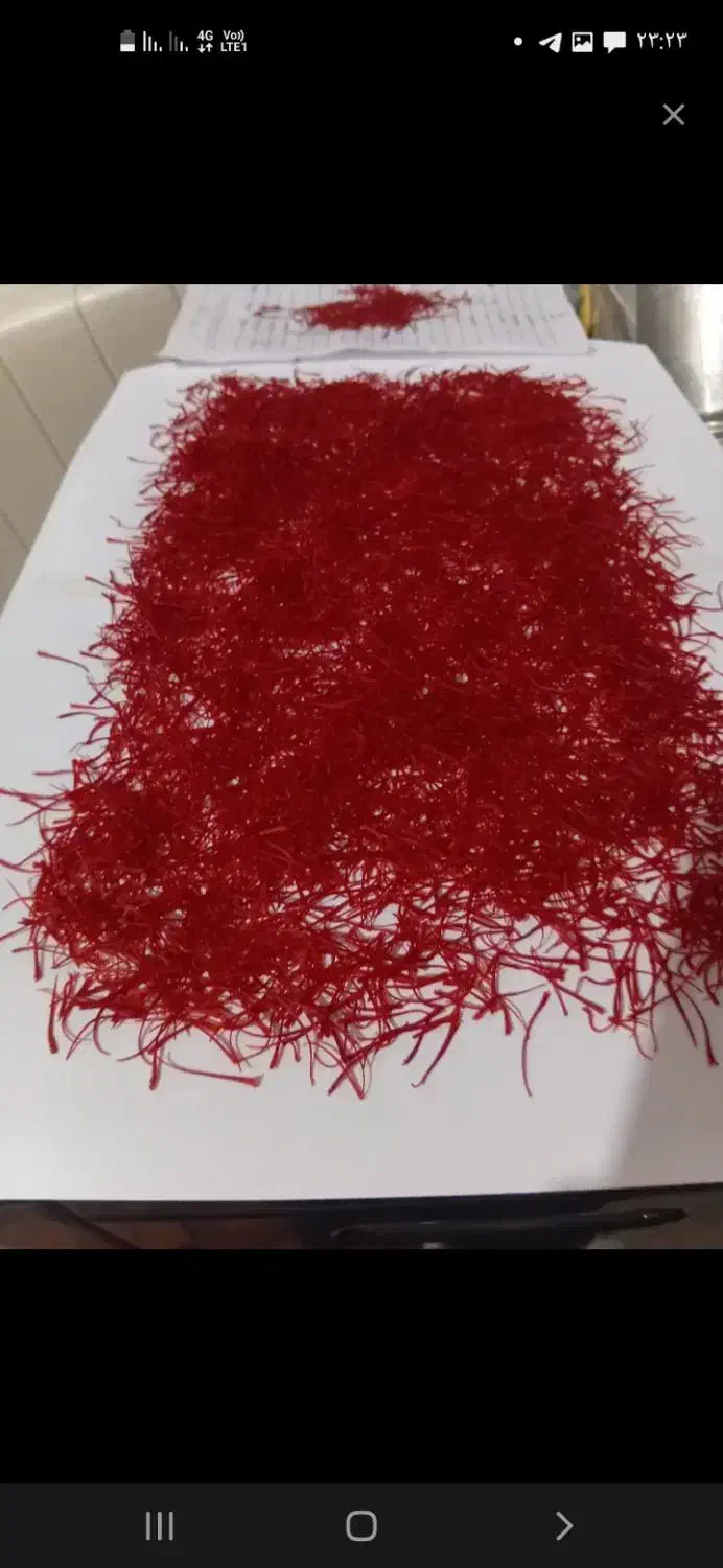 زعفران وریشه زعفران|خوردنی و آشامیدنی|تربت جام, شاهد|دیوار