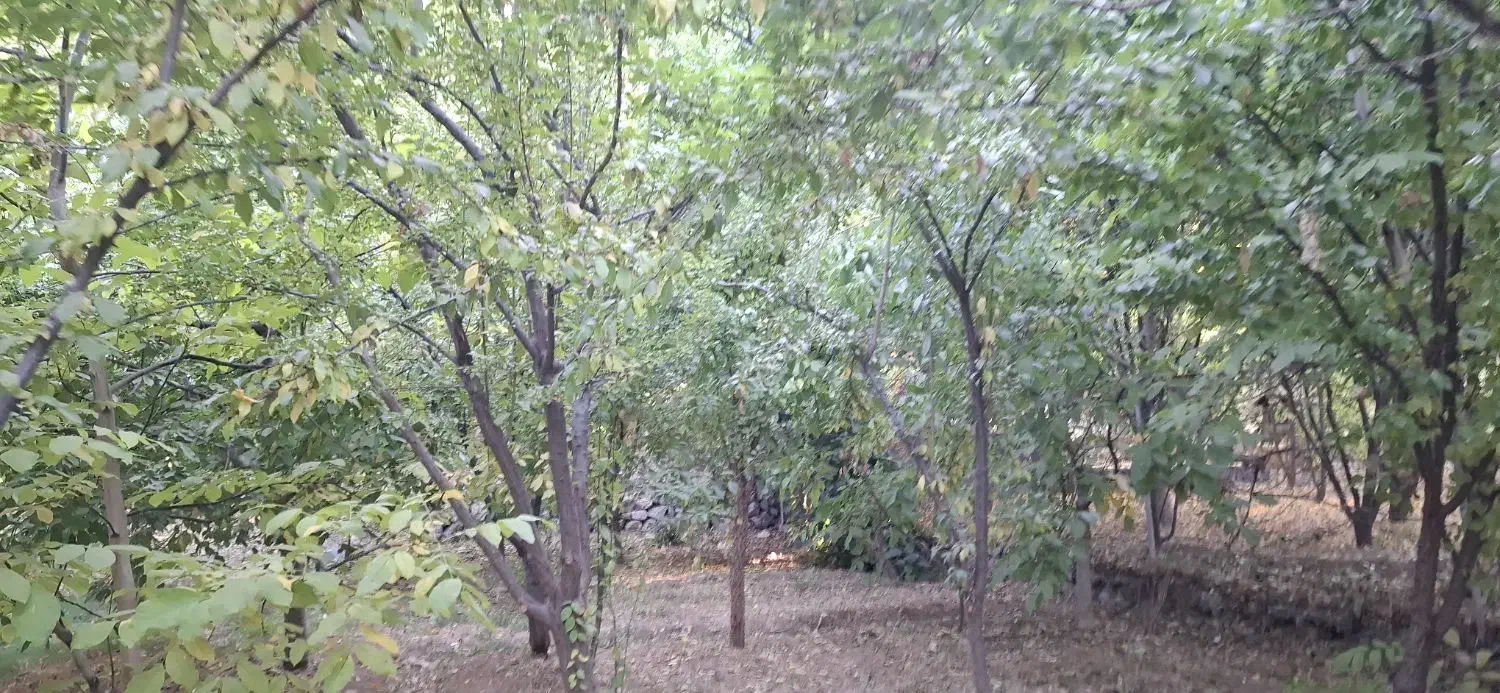 زمین کنار رودخانه زاینده رود|فروش زمین و ملک کلنگی|سامان, |دیوار