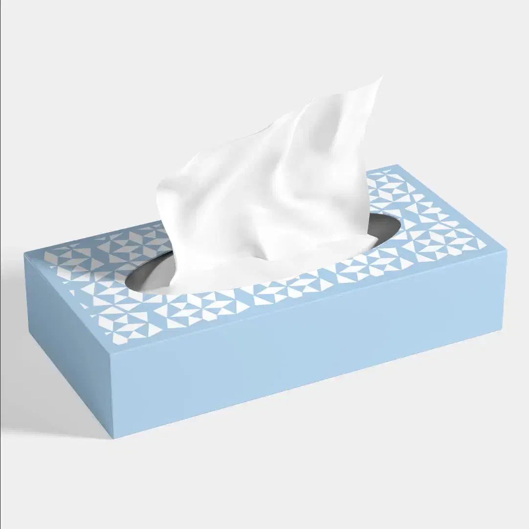 جذب سرمایه جهت توسعه خط تولید دستمال کاغذی|خدمات مالی، حسابداری، بیمه|اصفهان, آبشار|دیوار