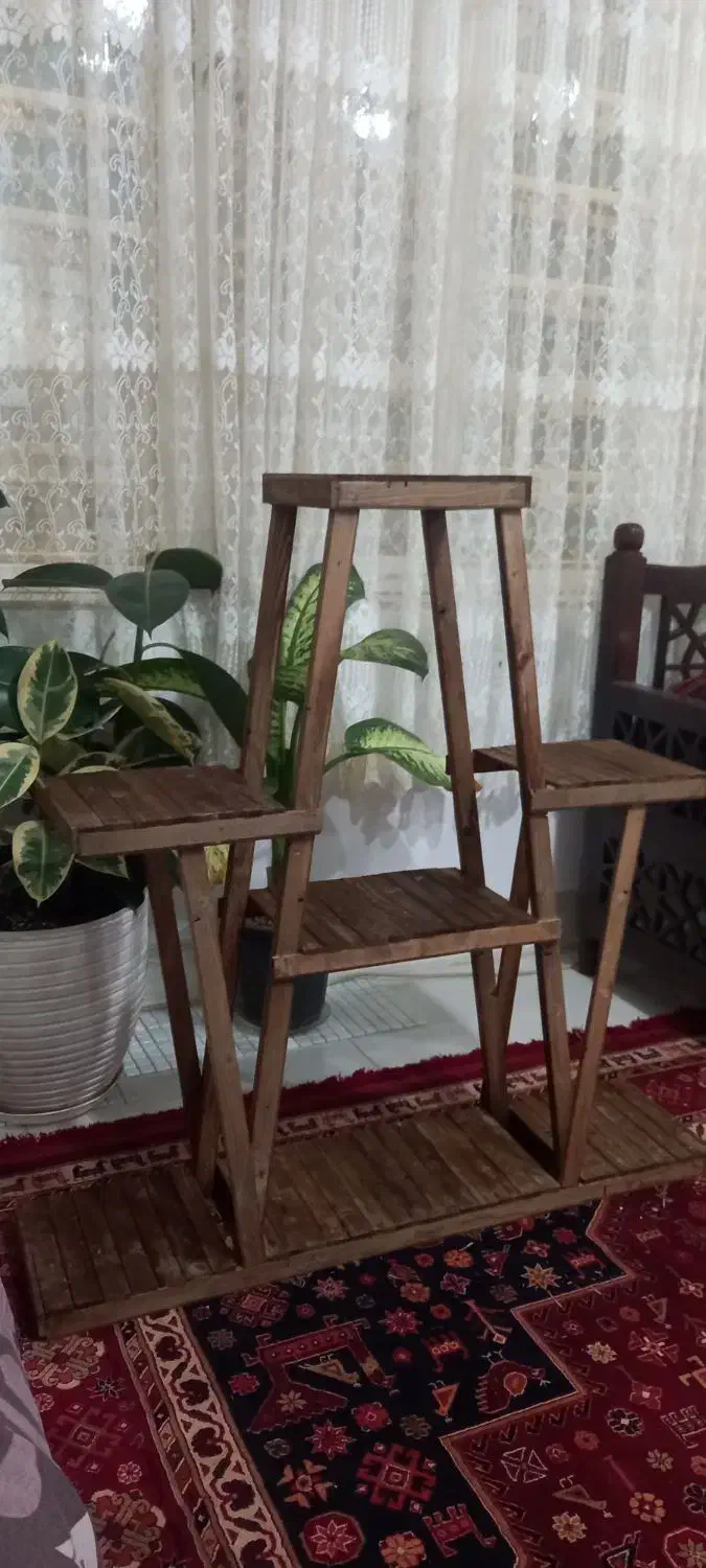 تعدادی گلدان سفال همراه باکس گل|گل و گیاه طبیعی|شیراز, شریف‌آباد|دیوار