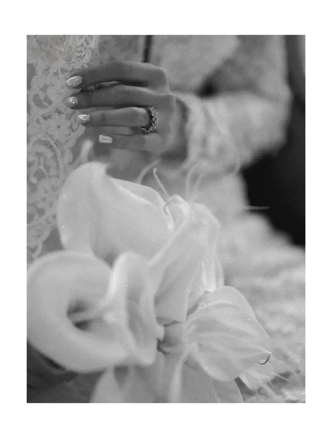 عکاسی وفیلمبرداری|خدمات پذیرایی، مراسم|ایذه, |دیوار