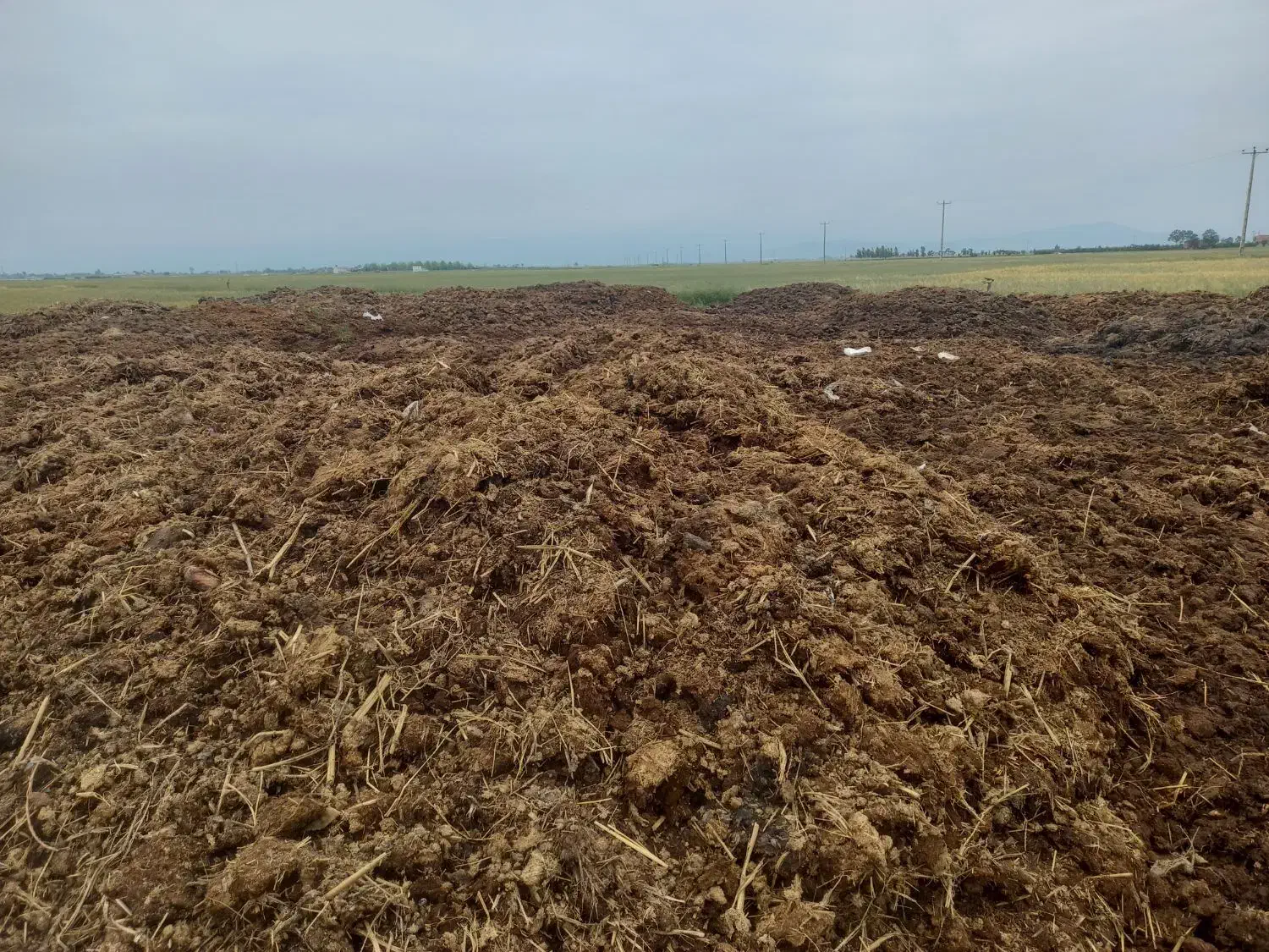 فروش کود حیوانی گاوی و گوسفندی|خدمات باغبانی و درختکاری|گرگان, |دیوار