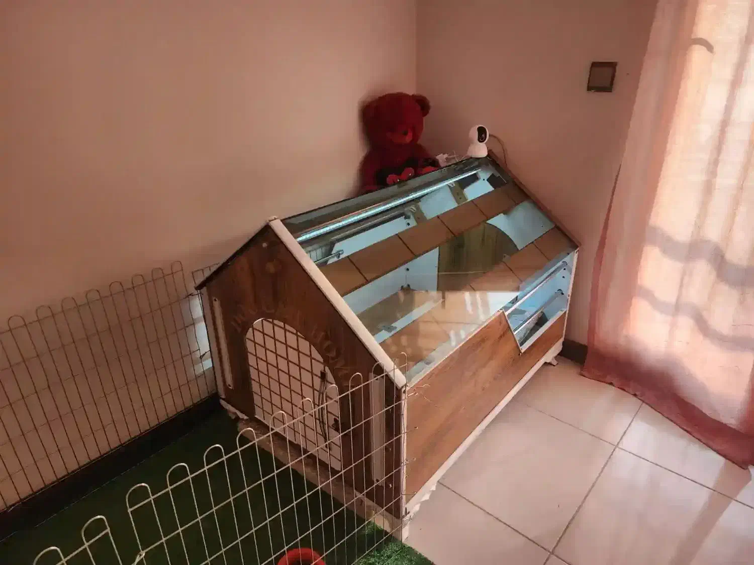 خانه پت|لوازم جانبی حیوانات|گرمدره, |دیوار