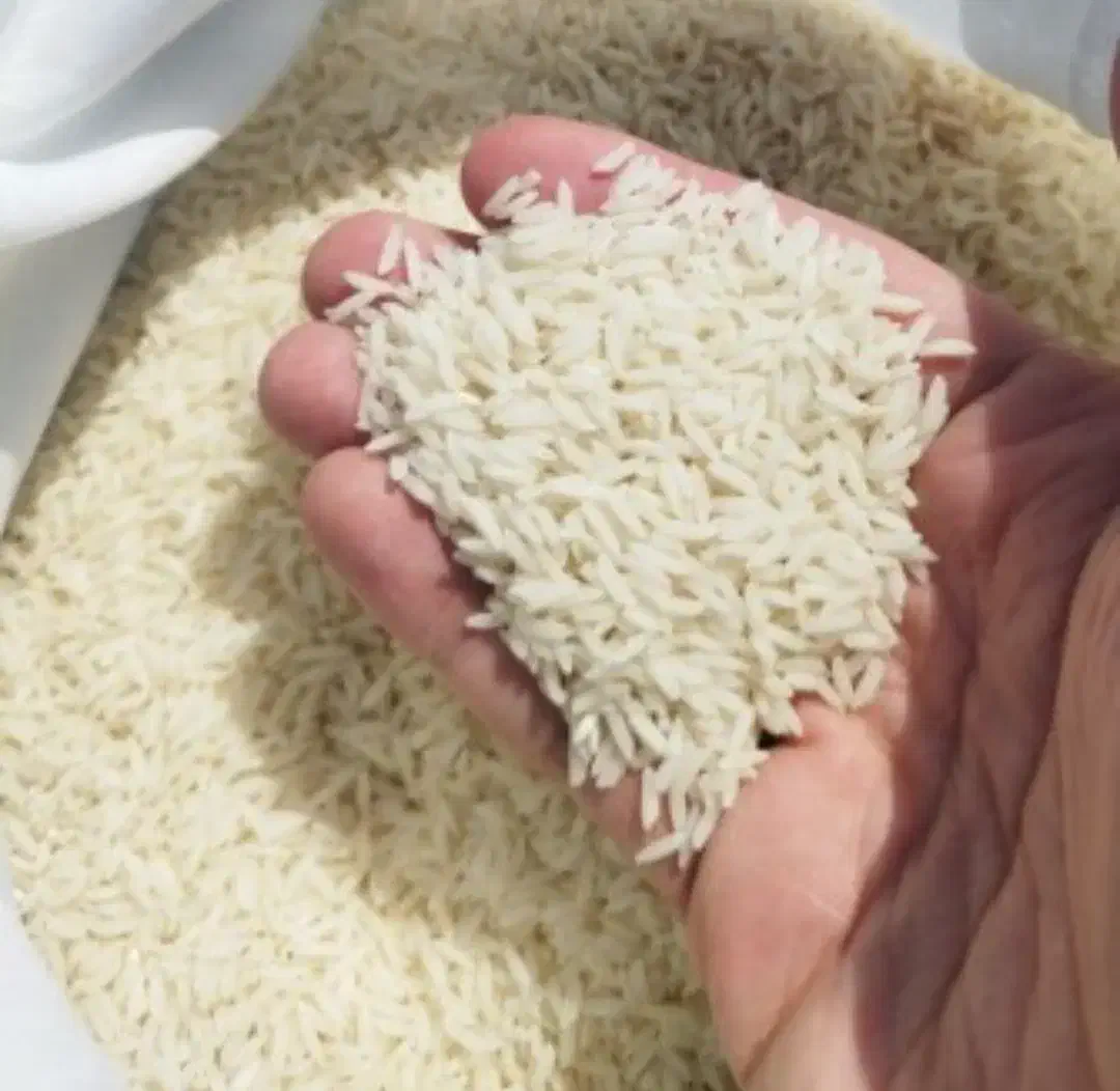 برنج ندا درجه یک|خوردنی و آشامیدنی|گرگان, |دیوار