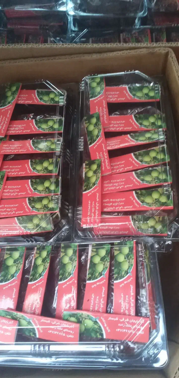 کاردرمنزل بسته بندی البالو الوچه|استخدام بازاریابی و فروش|قدس, شهرقدس|دیوار