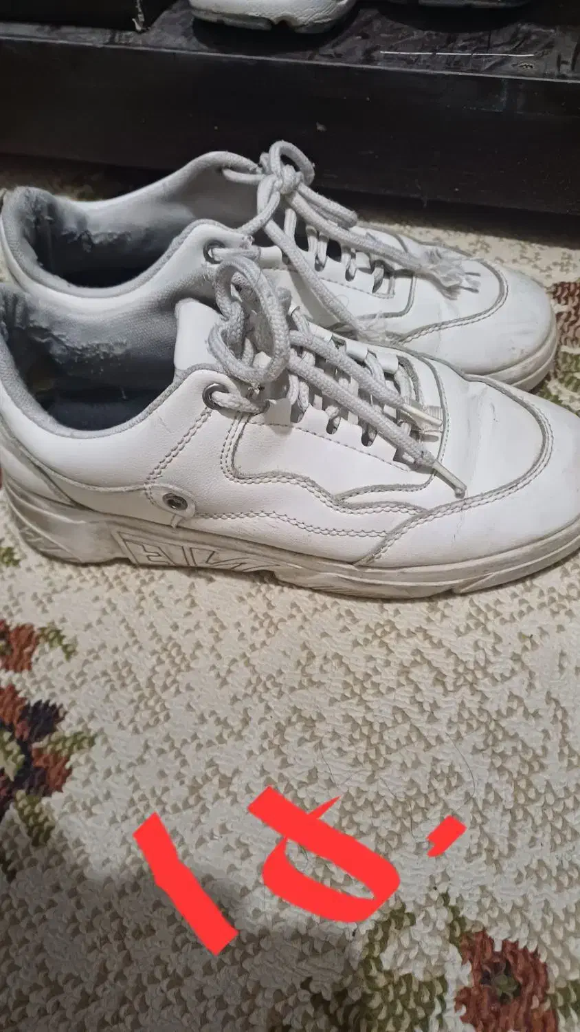 کیف کفش مفت|کیف، کفش، کمربند|نیشابور, مازول|دیوار